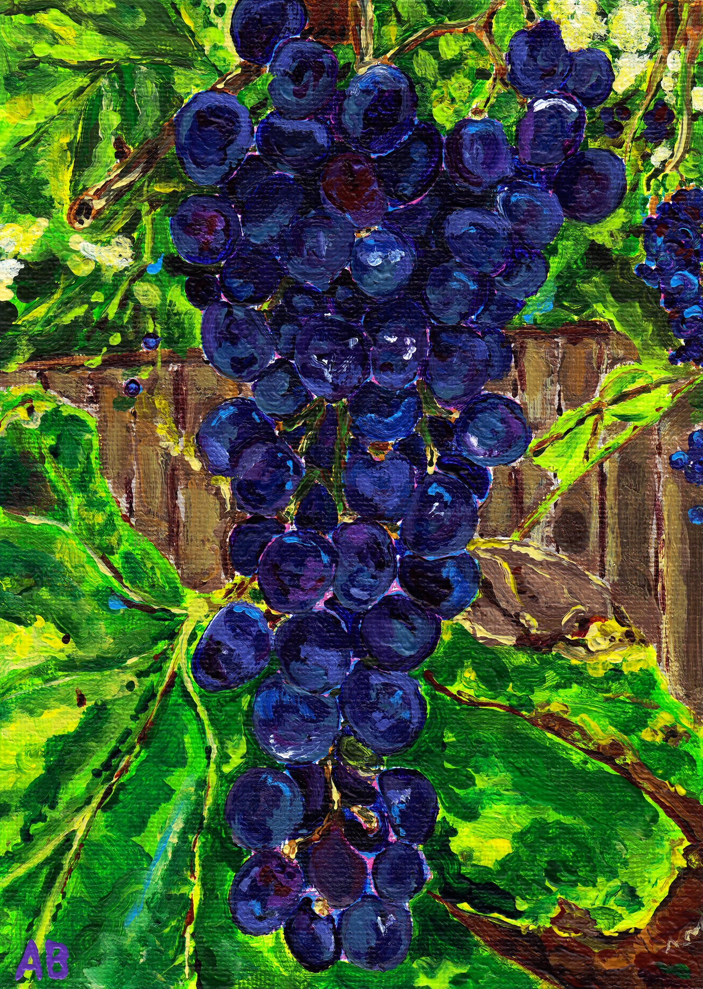 Original Painting - Garden Grapes