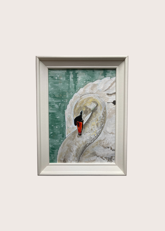 Art Print - Snowy River Swan #1