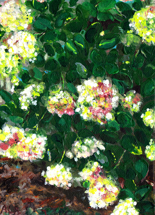 Original Painting - Limelights in Autumn