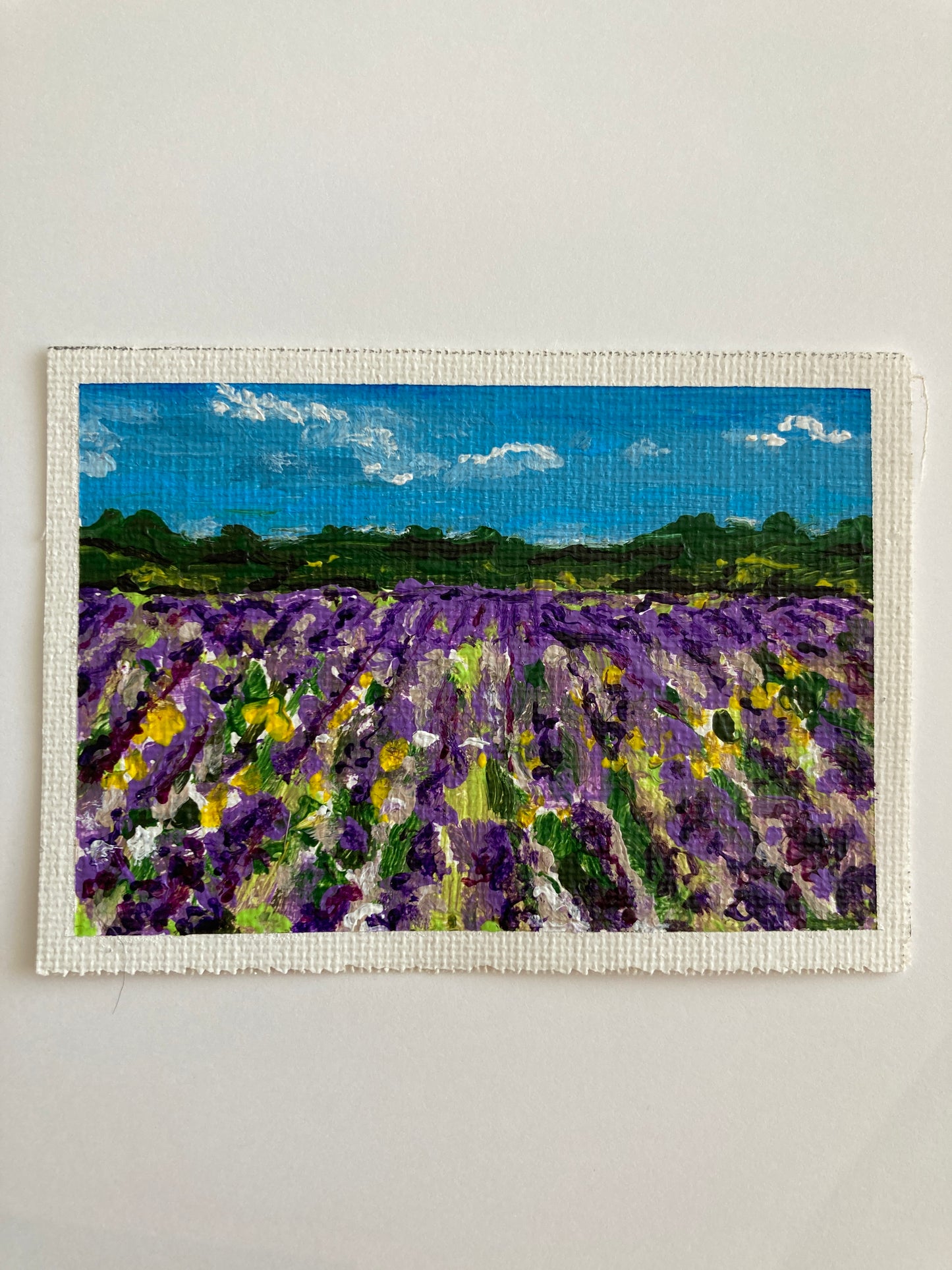 Miniature Original - Lavender Field